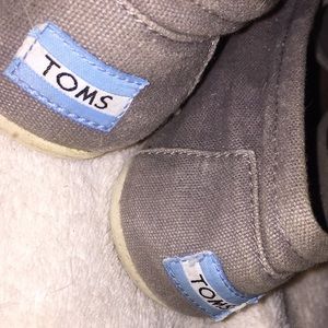 Grey Toms